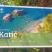 Anika, privatni smeštaj u mestu Sutomore, Crna Gora - 587800003